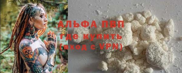 Альфа ПВП Грязовец