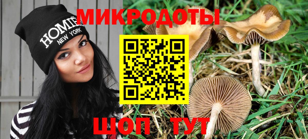 Галлюциногенные грибы GOLDEN TEACHER Россия
