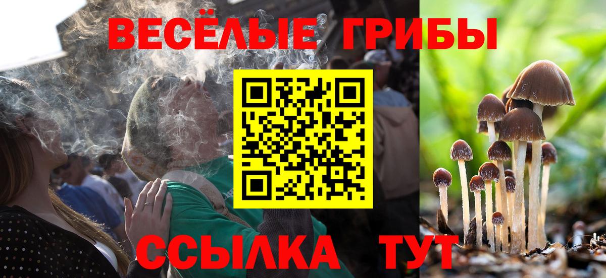 Россия  Галлюциногенные грибы Magic Shrooms  Вход с VPN 